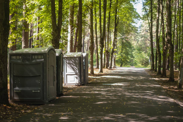 Professional porta potty rental in Hayfield, VA